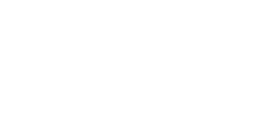 MWG Expedited Inc logo